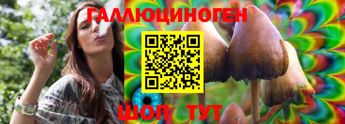 Галлюциногенные грибы Psilocybe Геленджик