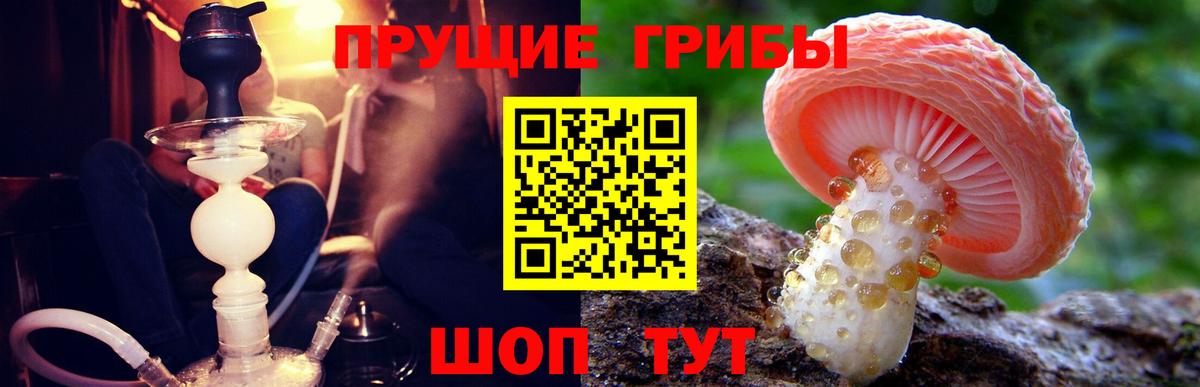 Галлюциногенные грибы Magic Shrooms  Вход с VPN  Геленджик  Галлюциногенные грибы прущие грибы 